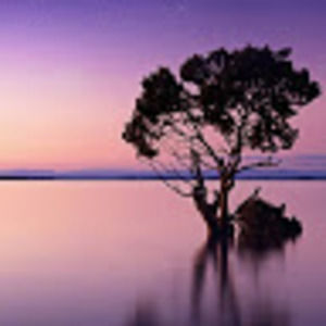 Meet your Posher, O.m